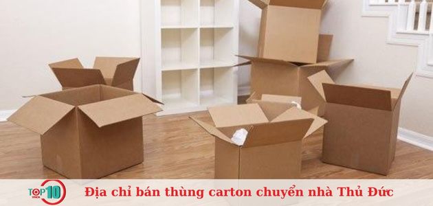 Việt packing