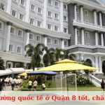 Top trường quốc tế ở Quận 8 tốt, chất lượng nhất