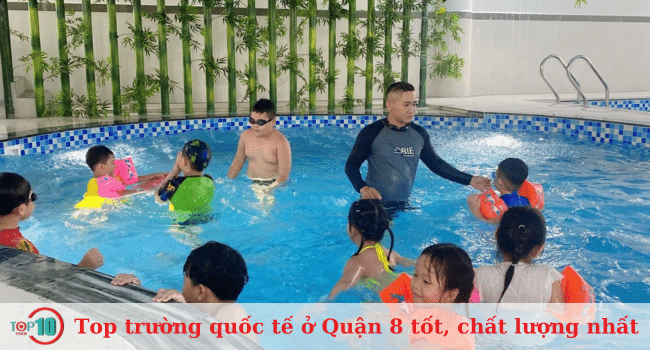 Top trường quốc tế ở Quận 8 tốt, chất lượng nhất