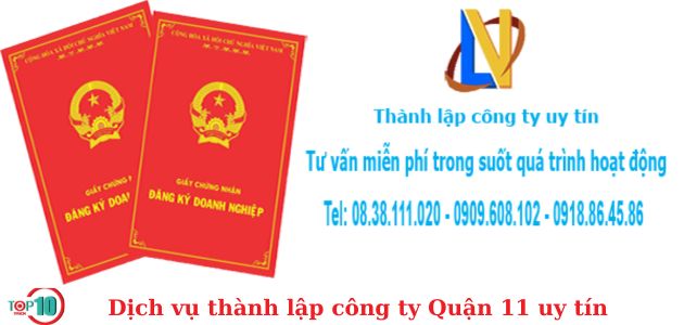 Nam Việt Luật