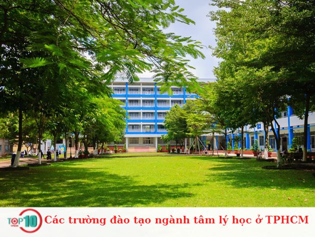 Các trường đào tạo ngành tâm lý học ở TPHCM