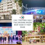 Các Trường đào tạo ngành ngôn ngữ Hàn ở Việt Nam