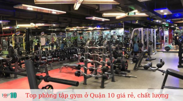 Gym Fit24
