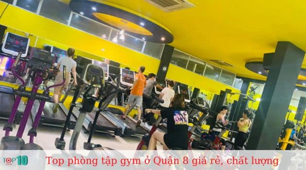 Gold Gym