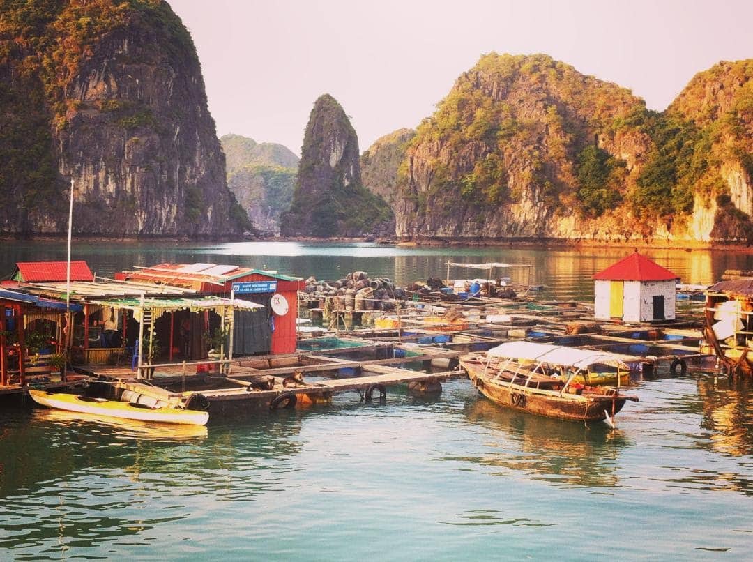 Hình ảnh cuộc sống bình yên của làng chài ở Hạ Long Bay.