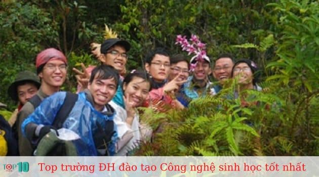 Đại học Khoa học Tự nhiên - Đại học Quốc gia TP. HCM