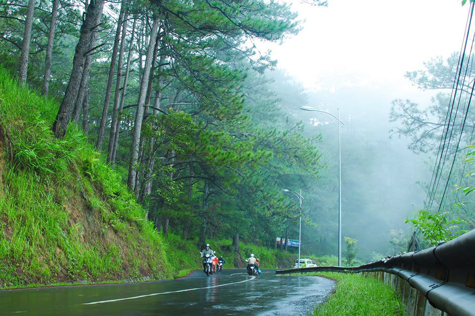 Hình con đường đèo Đà Lạt trong mùa mưa.