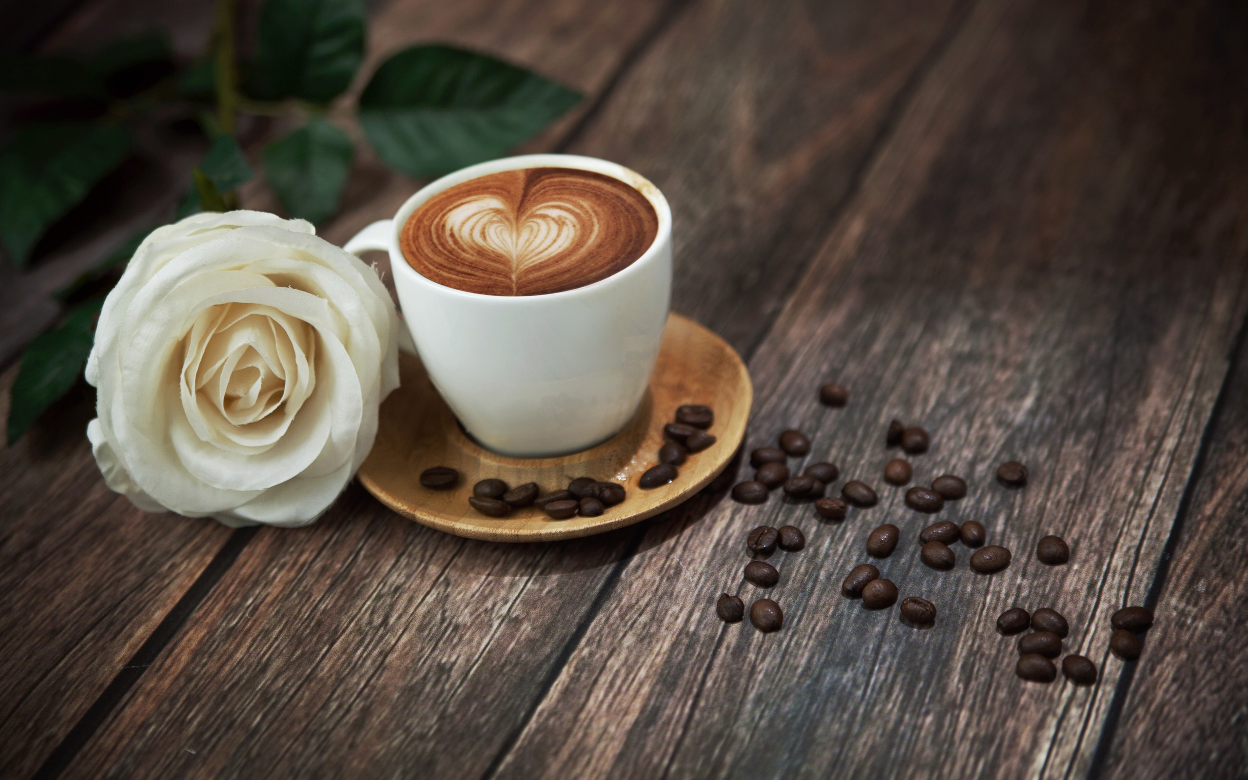 Hình ảnh ly cafe Capuchino bên hoa hồng trắng.