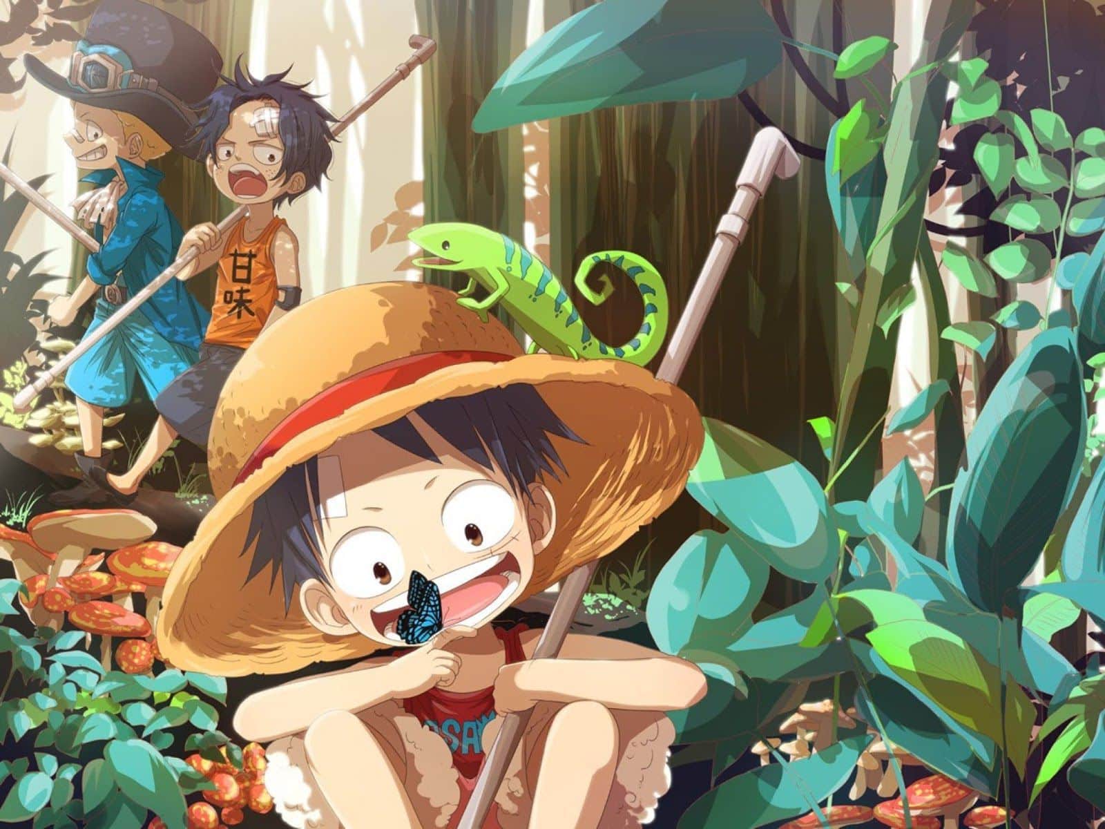 Tải ảnh Luffy cute đang đi bắt bướm.