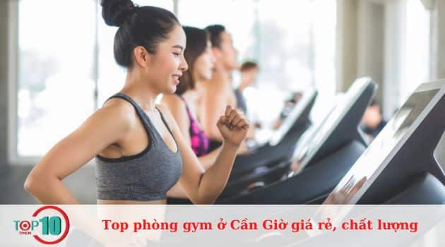 Top phòng tập thể hình tốt nhất ở Cần Giờ