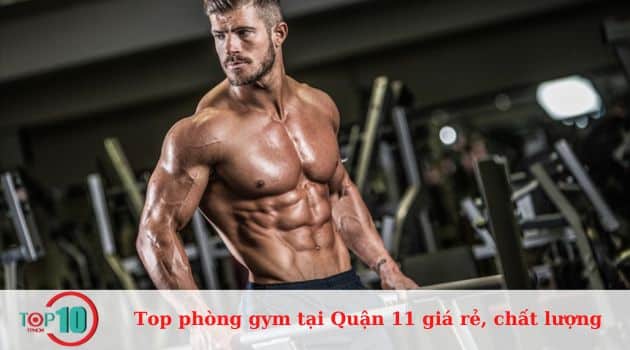 Top phòng tập gym Quận 11 giá rẻ, chất lượng