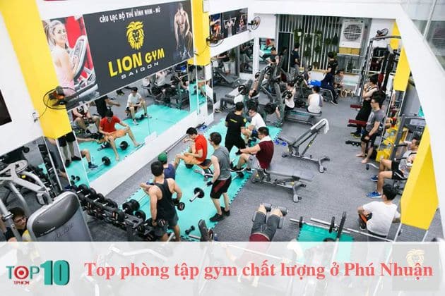 Lion Gym