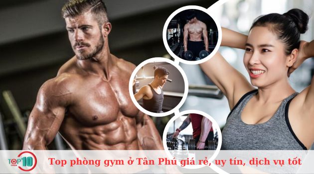 Top 10 phòng gym ở quận Tân Phú giá rẻ, uy tín, dịch vụ tốt