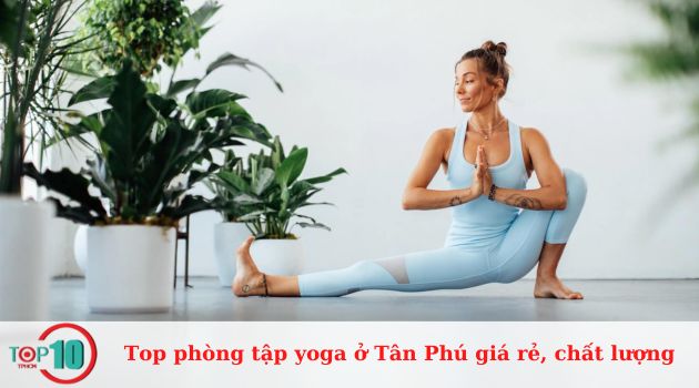 Top các phòng tập yoga uy tín ở quận Tân Phú