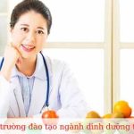 Trường đào tạo ngành dinh dưỡng tốt nhất