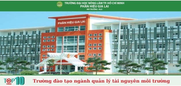 ĐH Nông Lâm TP.HCM - Gia Lai