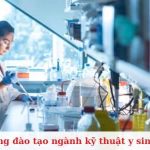 Top 8 trường đào tạo ngành kỹ thuật y sinh chất lượng nhất