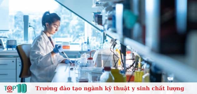 Top 8 trường đào tạo ngành kỹ thuật y sinh chất lượng nhất