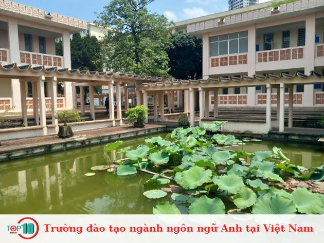 Trường đào tạo ngành ngôn ngữ Anh tại Việt Nam