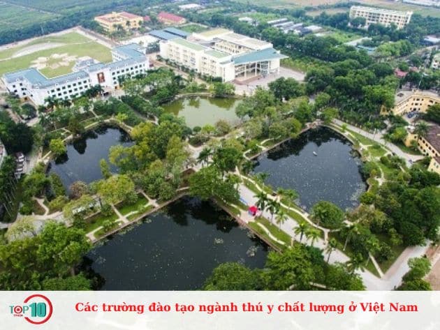 Các trường đào tạo ngành thú y chất lượng ở Việt Nam
