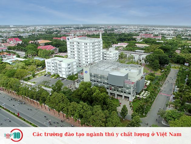 Các trường đào tạo ngành thú y chất lượng ở Việt Nam