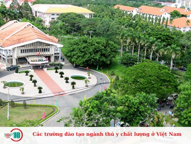Các trường đào tạo ngành thú y chất lượng ở Việt Nam