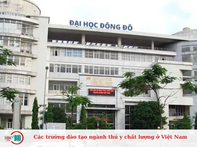 Các trường đào tạo ngành thú y chất lượng ở Việt Nam