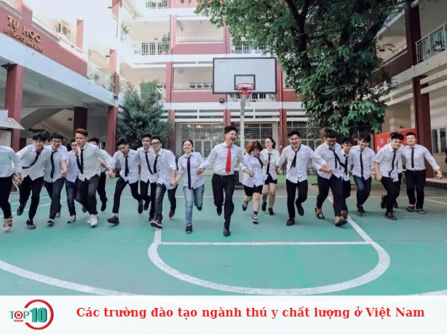 Các trường đào tạo ngành thú y chất lượng ở Việt Nam
