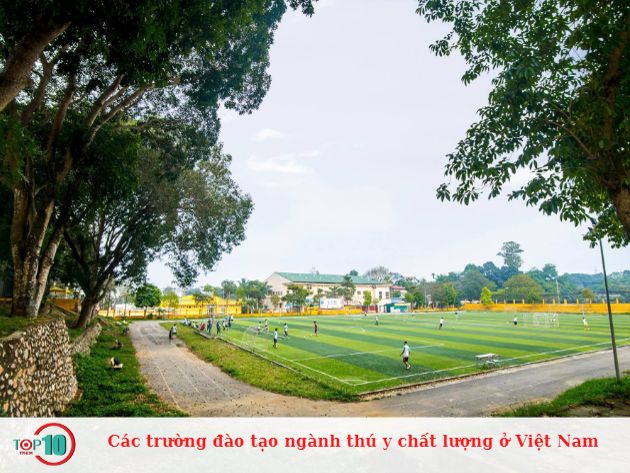 Các trường đào tạo ngành thú y chất lượng ở Việt Nam