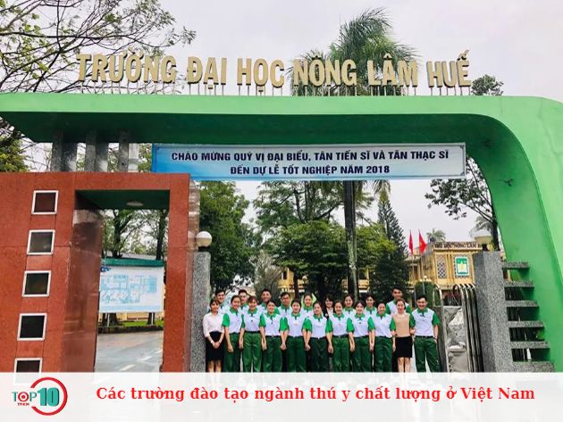 Các trường đào tạo ngành thú y chất lượng ở Việt Nam