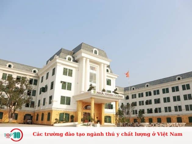 Các trường đào tạo ngành thú y chất lượng ở Việt Nam