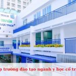 Top các trường đào tạo ngành y học cổ truyền tốt nhất hiện nay