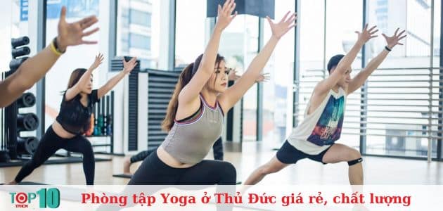 Top 8 phòng tập Yoga ở Thủ Đức uy tín, chất lượng nhất