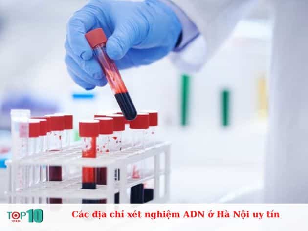 Các địa chỉ xét nghiệm ADN ở Hà Nội uy tín