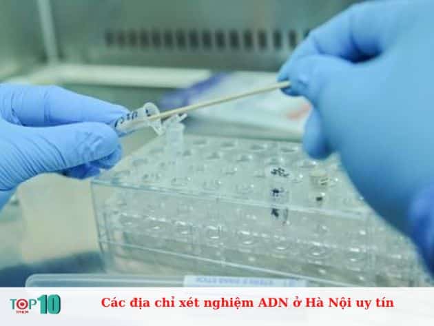 Các địa chỉ xét nghiệm ADN ở Hà Nội uy tín