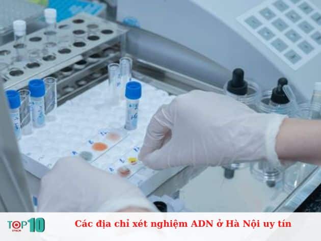 Các địa chỉ xét nghiệm ADN ở Hà Nội uy tín