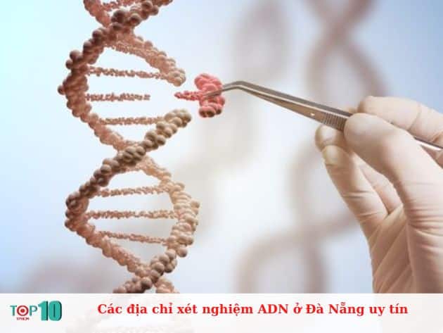 Các địa chỉ xét nghiệm ADN ở Đà Nẵng uy tín