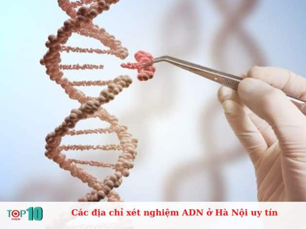 Các địa chỉ xét nghiệm ADN ở Hà Nội uy tín