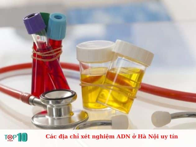 Các địa chỉ xét nghiệm ADN ở Hà Nội uy tín