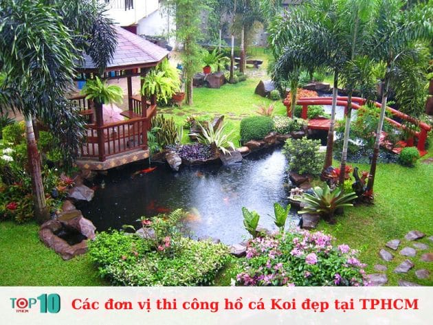 Các đơn vị thi công hồ cá Koi đẹp tại TPHCM