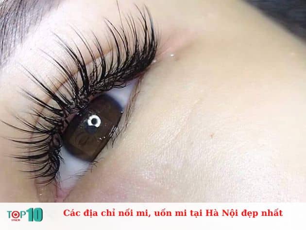 Các địa chỉ nối mi, uốn mi tại Hà Nội đẹp nhất