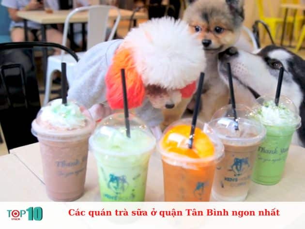 Các quán trà sữa ở quận Tân Bình ngon nhất