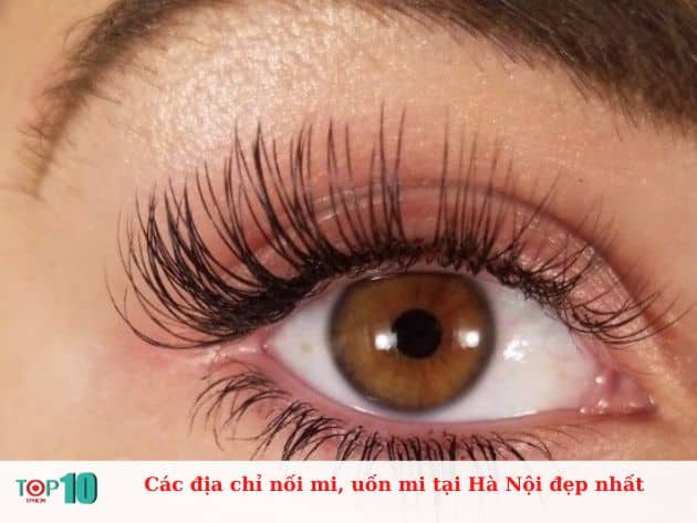 Các địa chỉ nối mi, uốn mi tại Hà Nội đẹp nhất