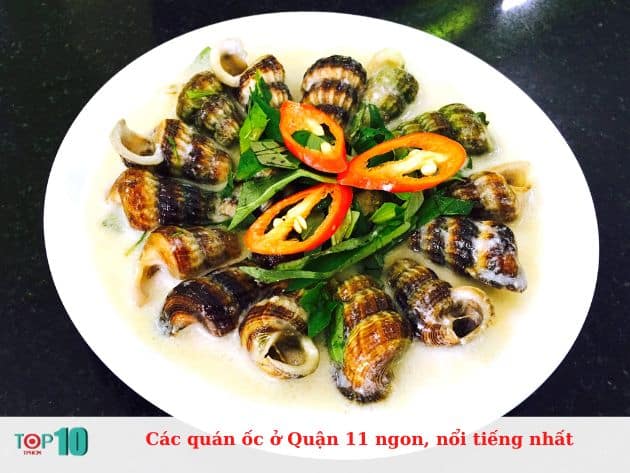 Các quán ốc ở Quận 11 ngon, nổi tiếng nhất