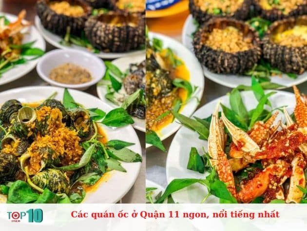 Các quán ốc ở Quận 11 ngon, nổi tiếng nhất