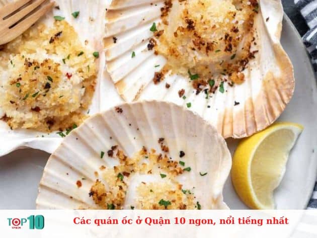 Các quán ốc ở Quận 10 ngon, nổi tiếng nhất