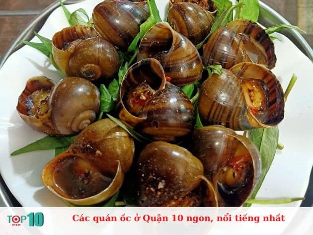 Các quán ốc ở Quận 10 ngon, nổi tiếng nhất