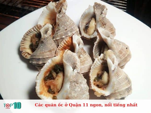 Các quán ốc ở Quận 11 ngon, nổi tiếng nhất