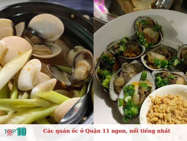 Các quán ốc ở Quận 11 ngon, nổi tiếng nhất