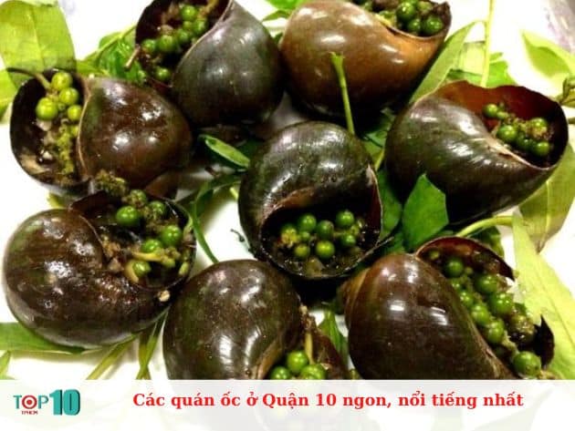 Các quán ốc ở Quận 10 ngon, nổi tiếng nhất